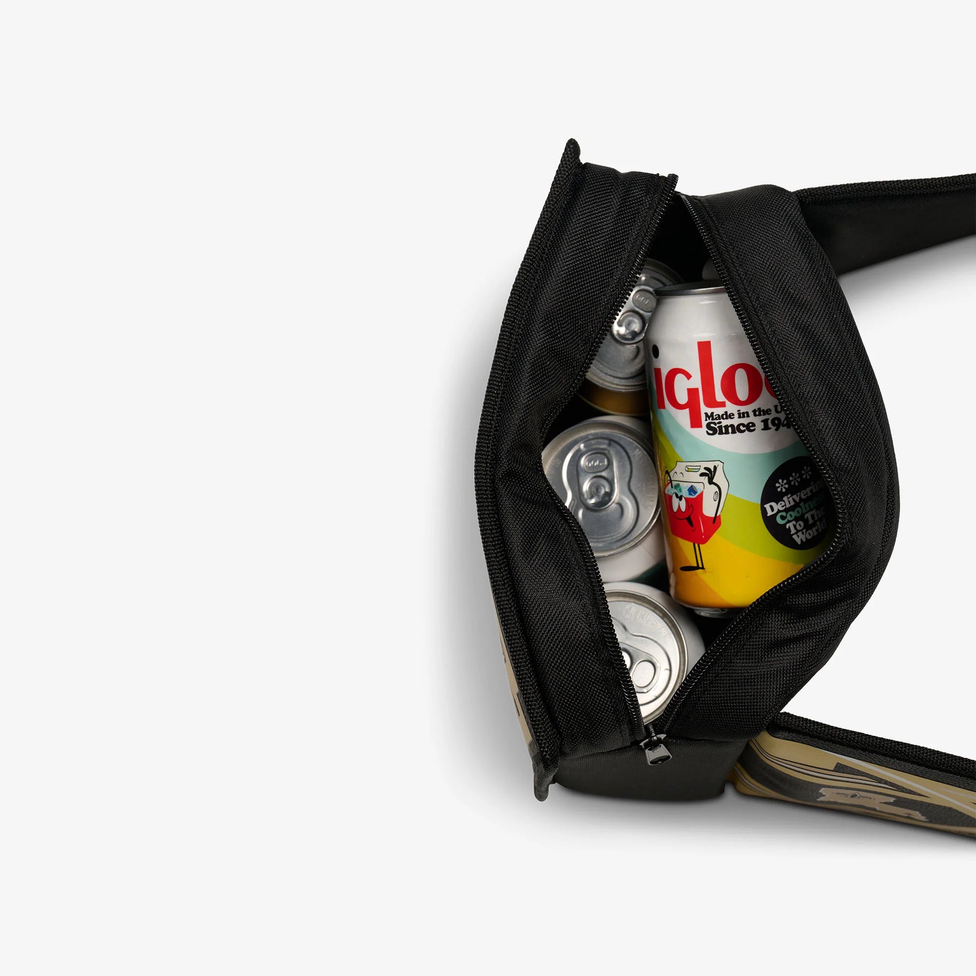 Igloo Camping Cooler NFL WWE Cooler Fanny Pack - Image 64