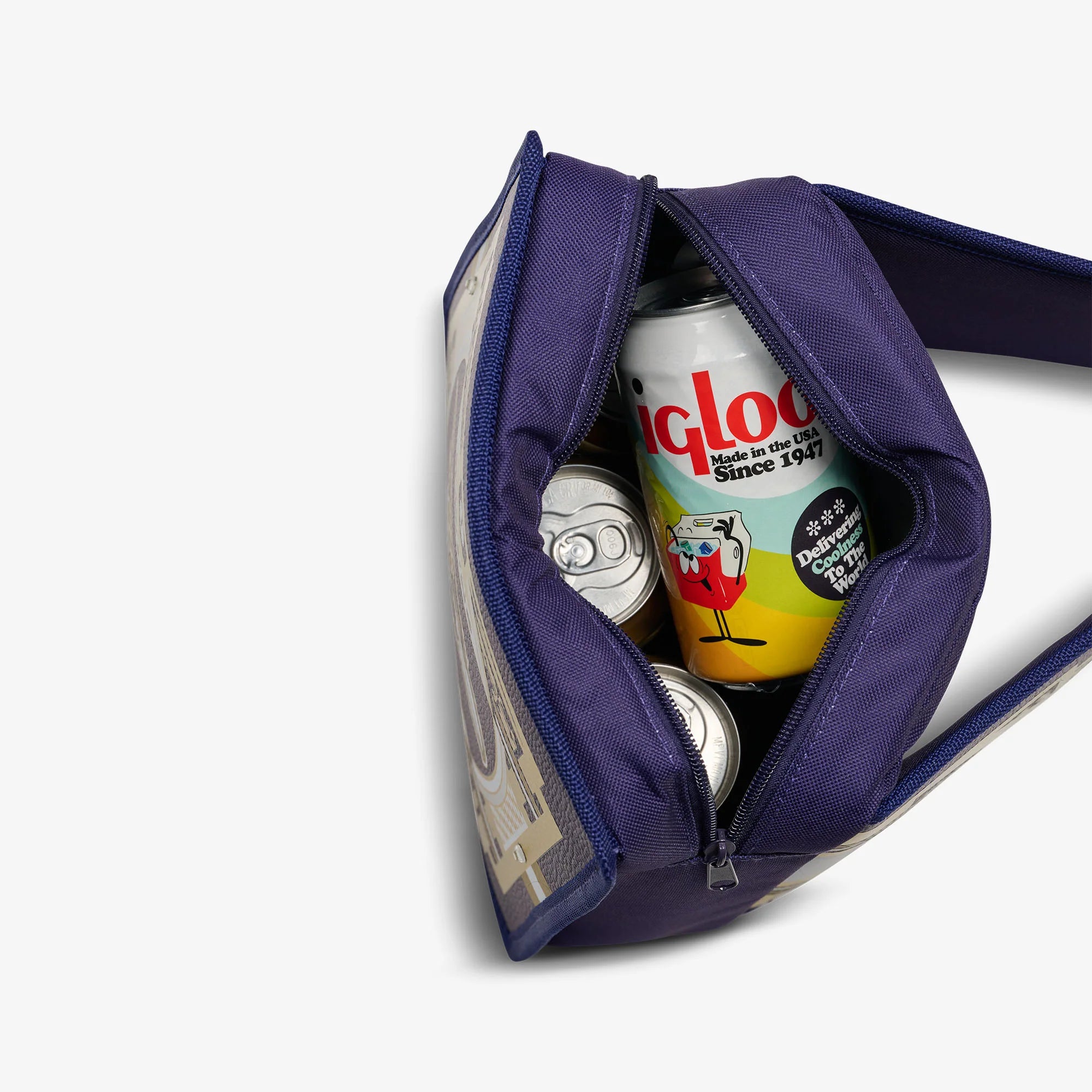Igloo Camping Cooler NFL WWE Cooler Fanny Pack - Image 16
