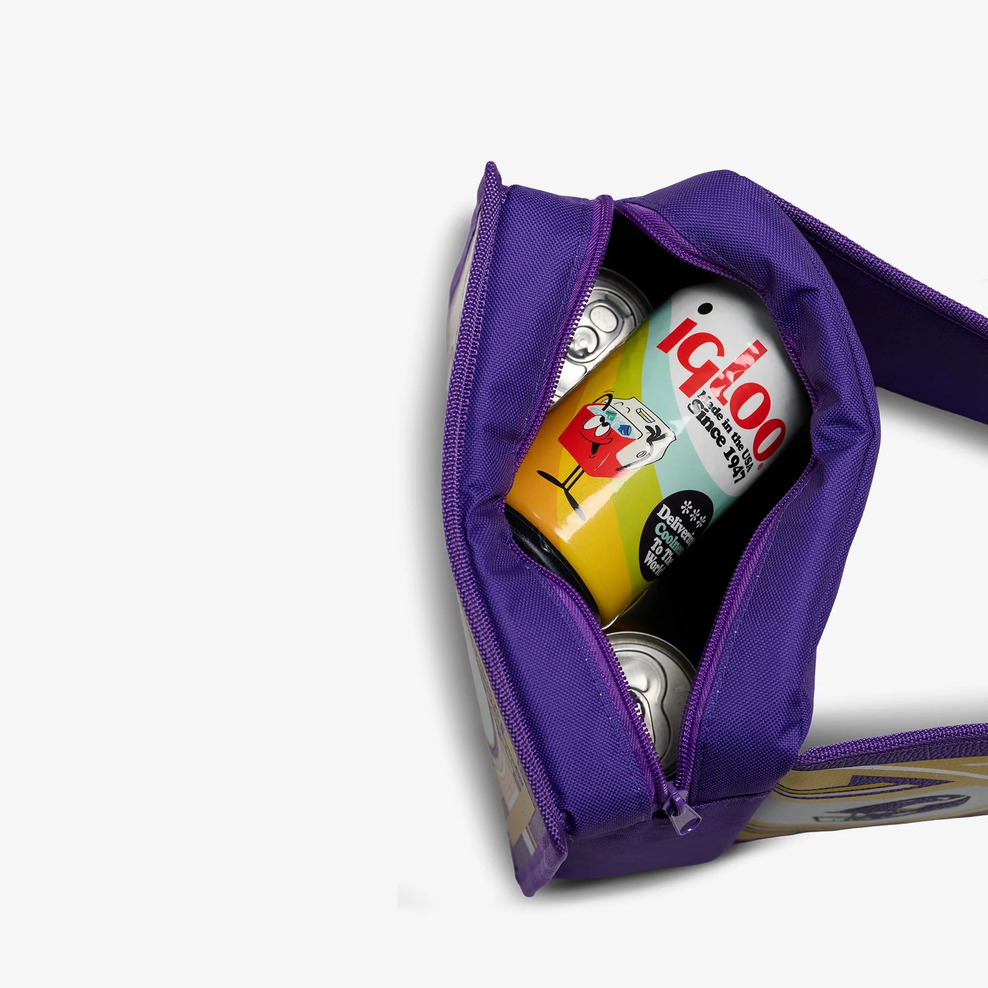 Igloo Camping Cooler NFL WWE Cooler Fanny Pack - Image 103