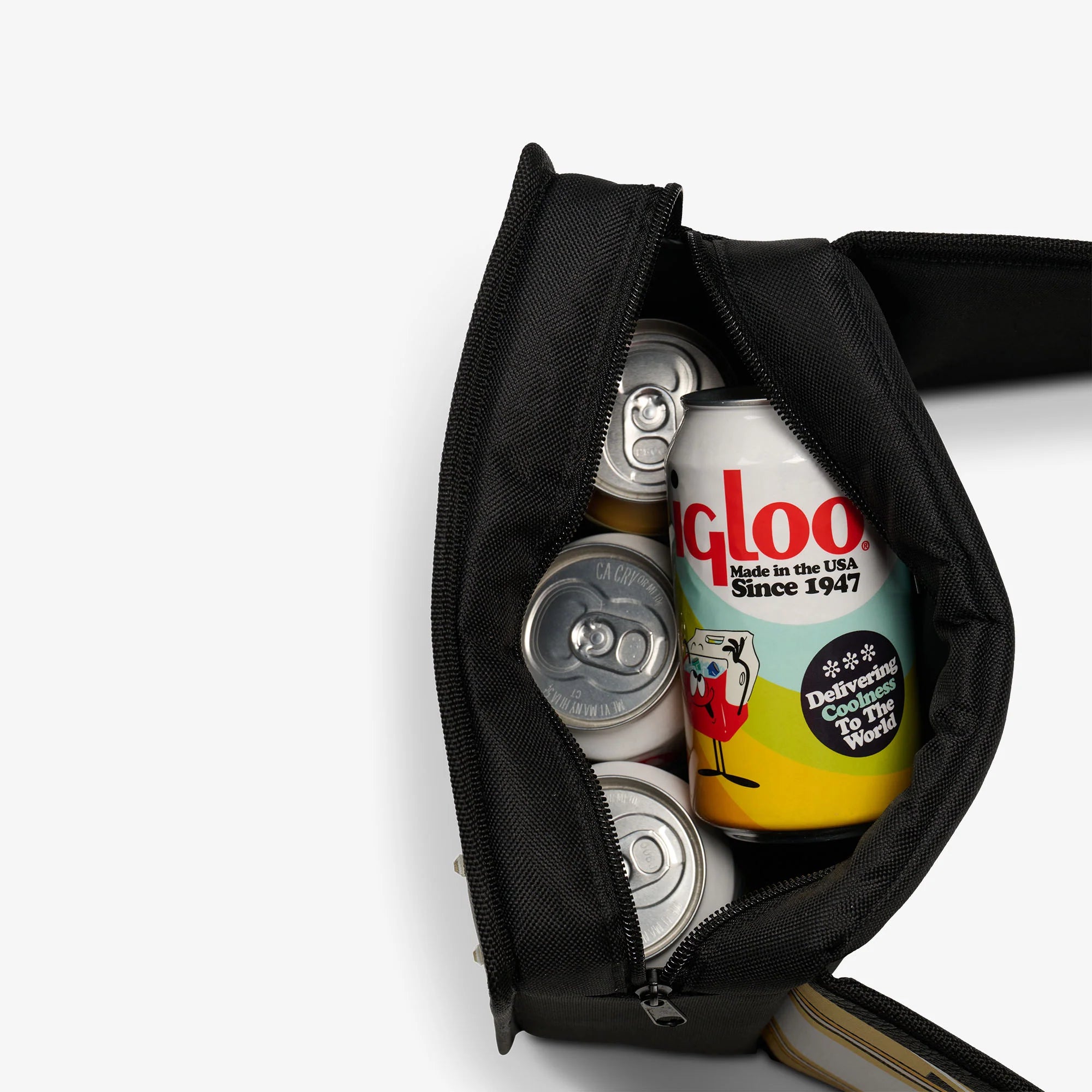 Igloo Camping Cooler NFL WWE Cooler Fanny Pack - Image 46