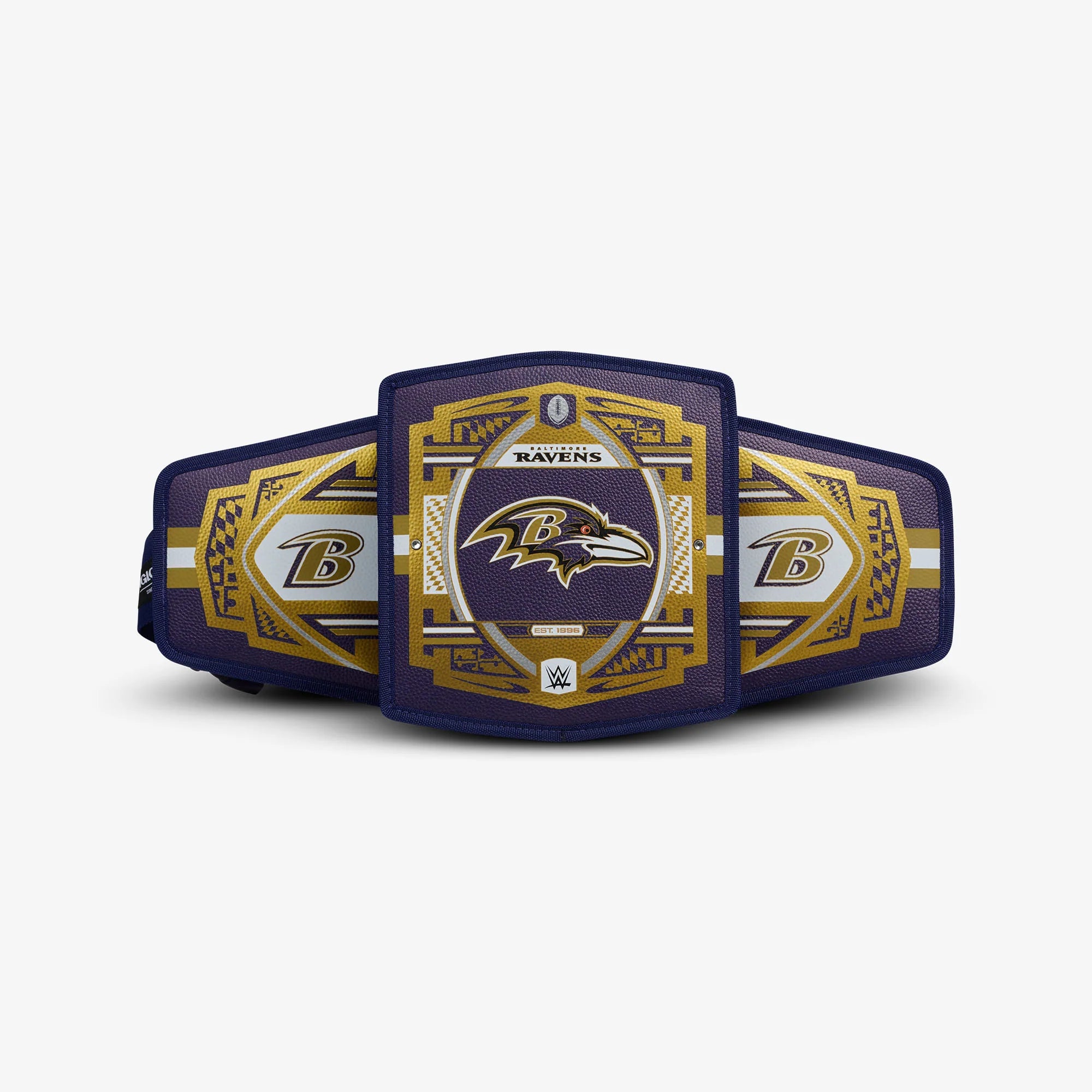 Igloo Camping Cooler NFL WWE Cooler Fanny Pack - Image 70