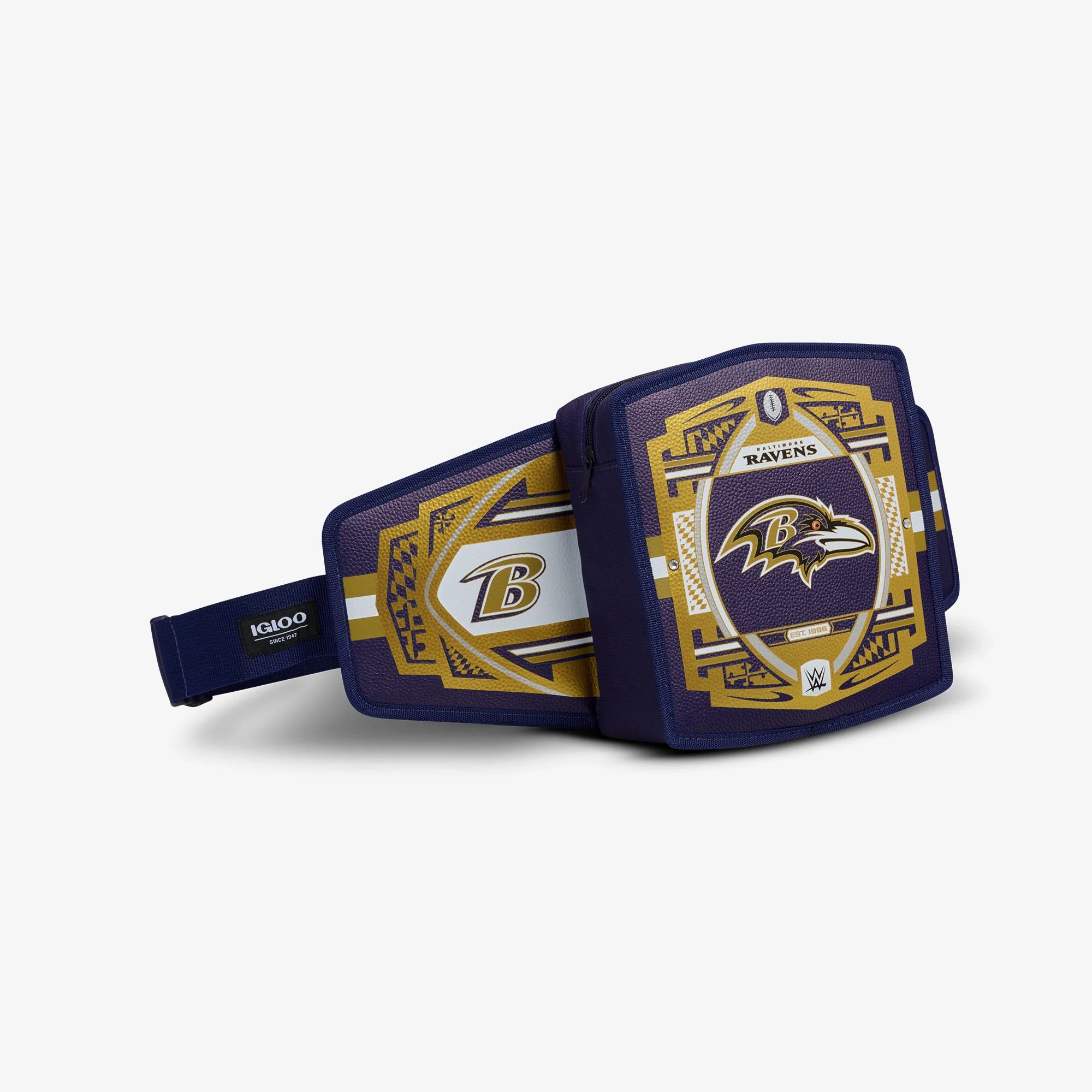 Igloo Camping Cooler NFL WWE Cooler Fanny Pack - Image 17